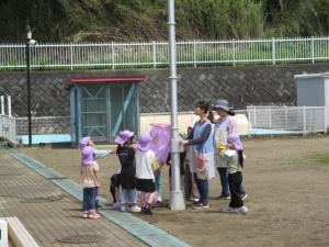 こいのぼり(1)