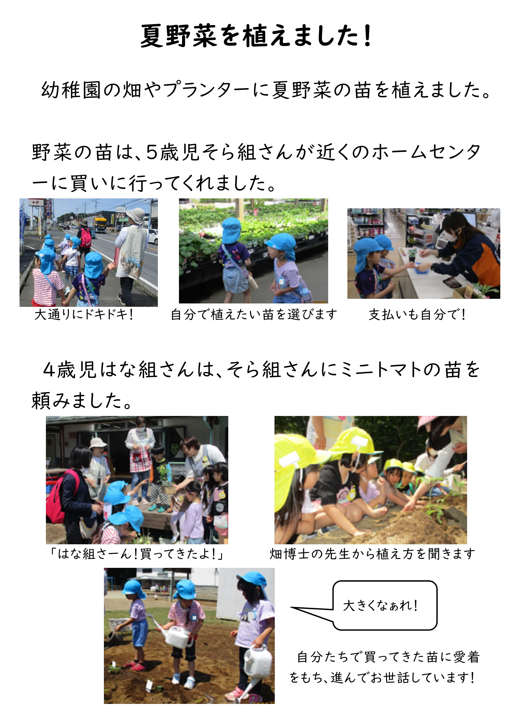 HP 夏野菜2