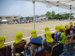 IMG_1101