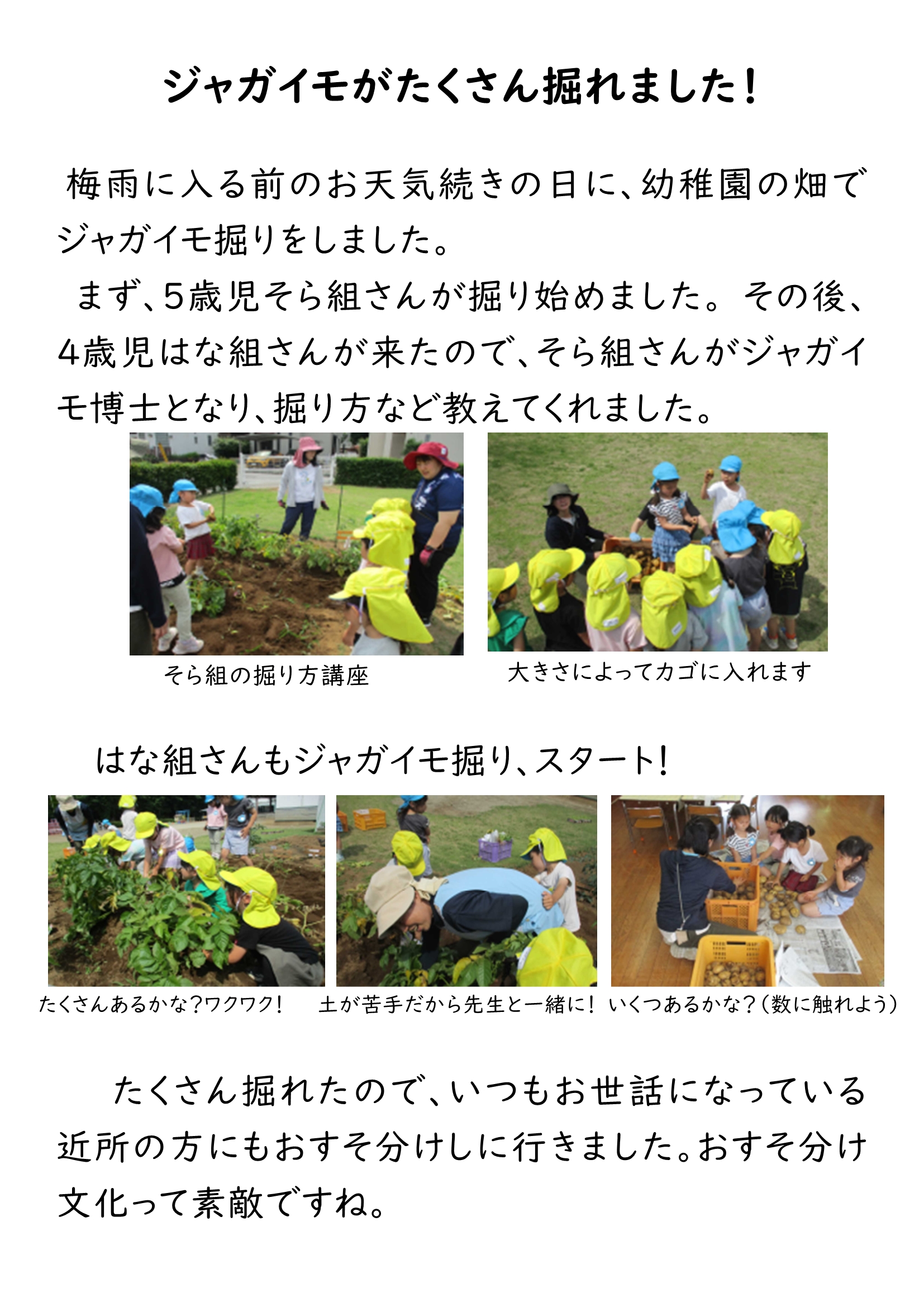 HP ジャガイモ掘りdocx