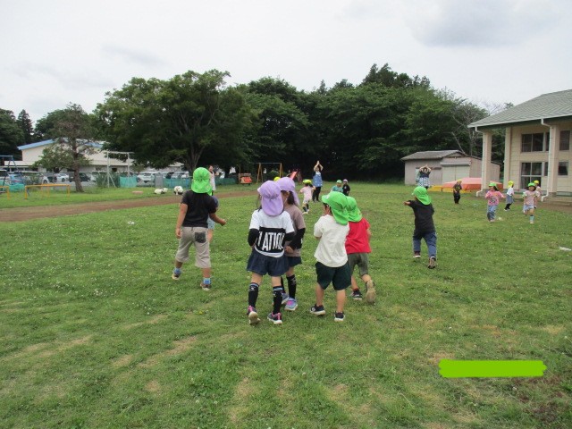 幼保２New