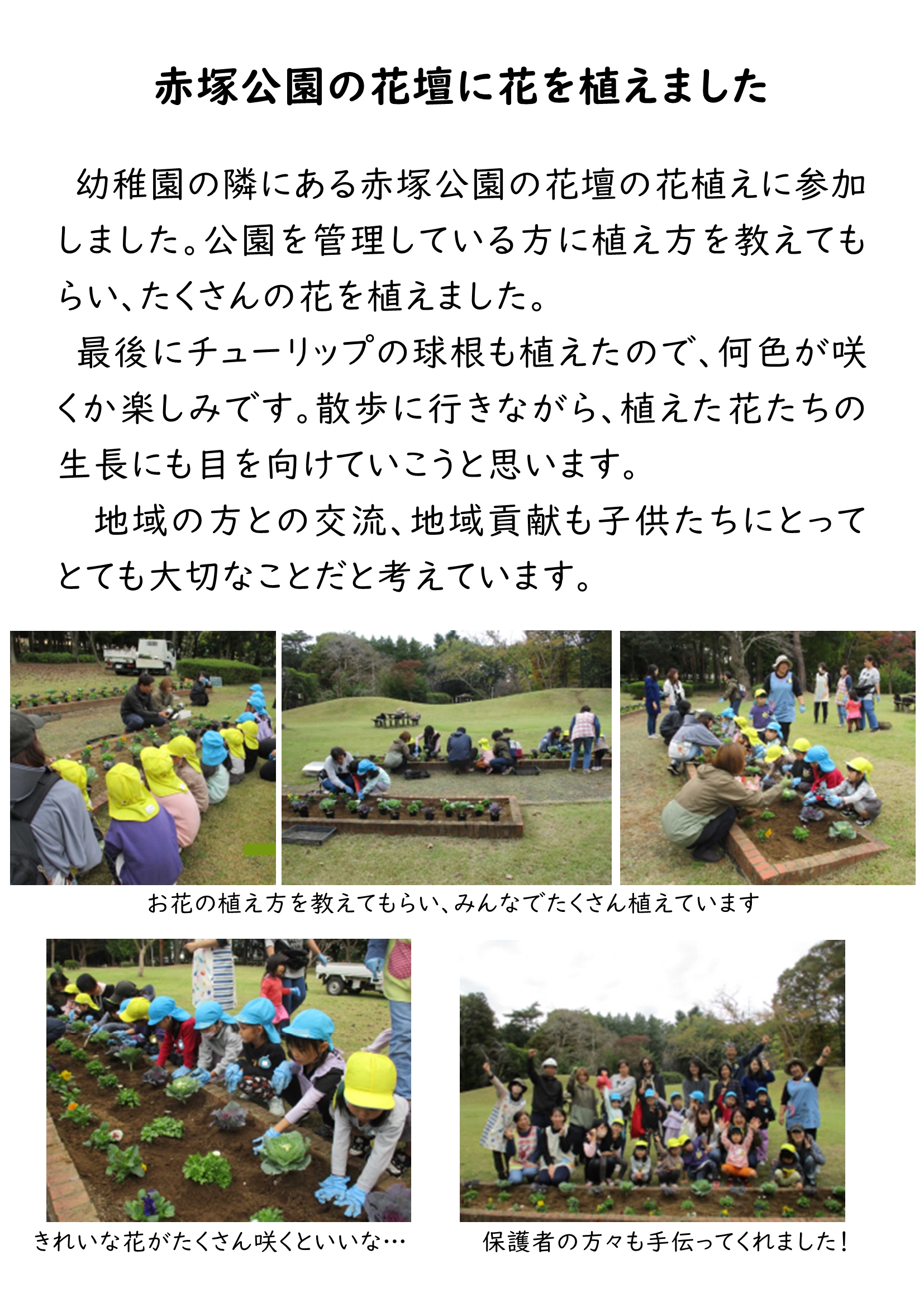 HP 赤塚公園花植え