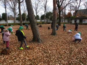 (3)まつぼっくり