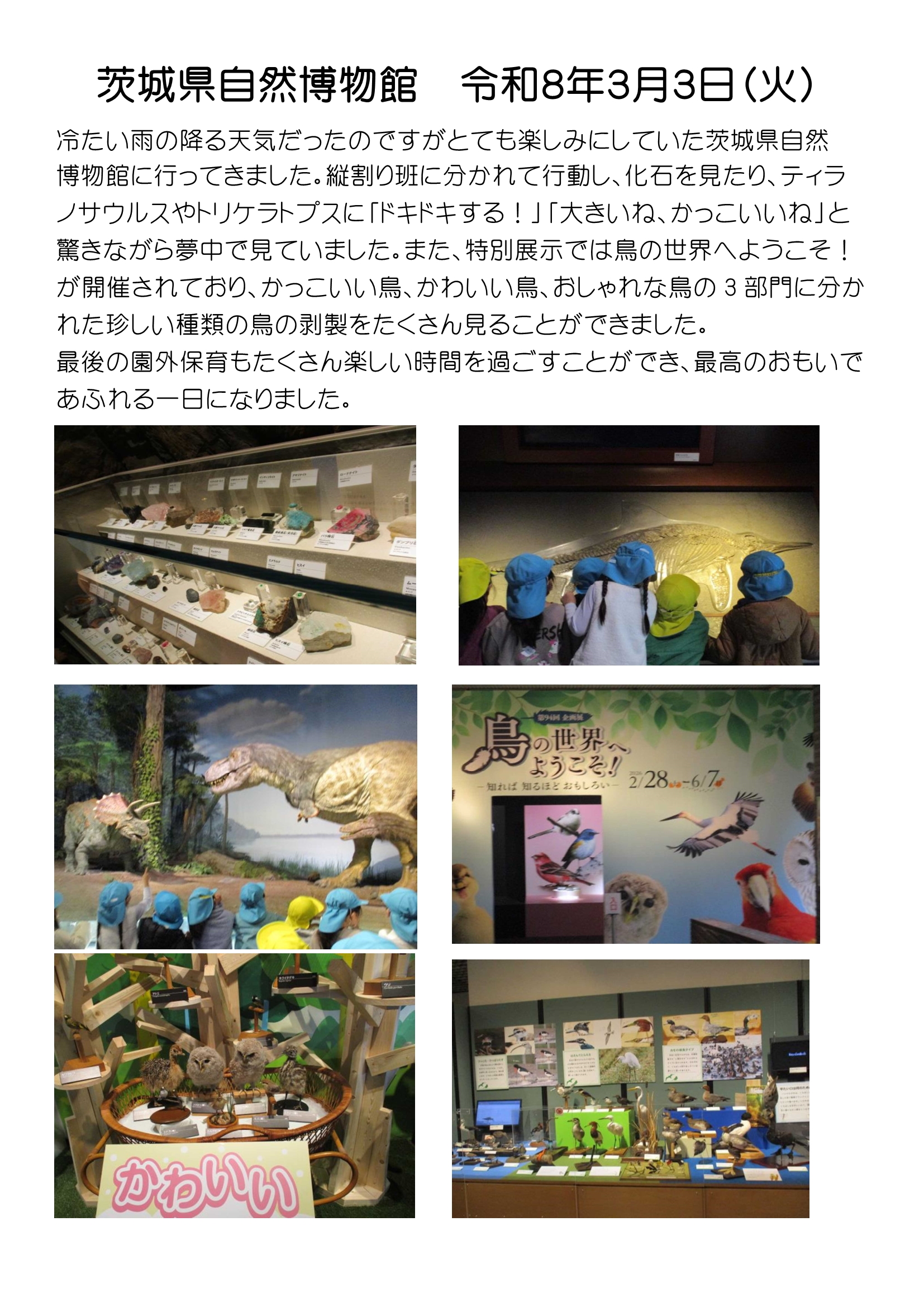 園外保育（茨城県自然博物館）