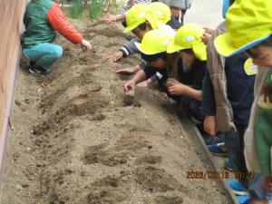 ８じゃがいも１