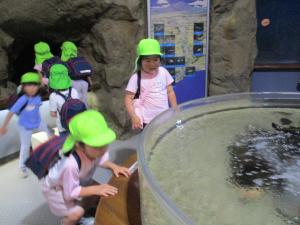 IMG_845687