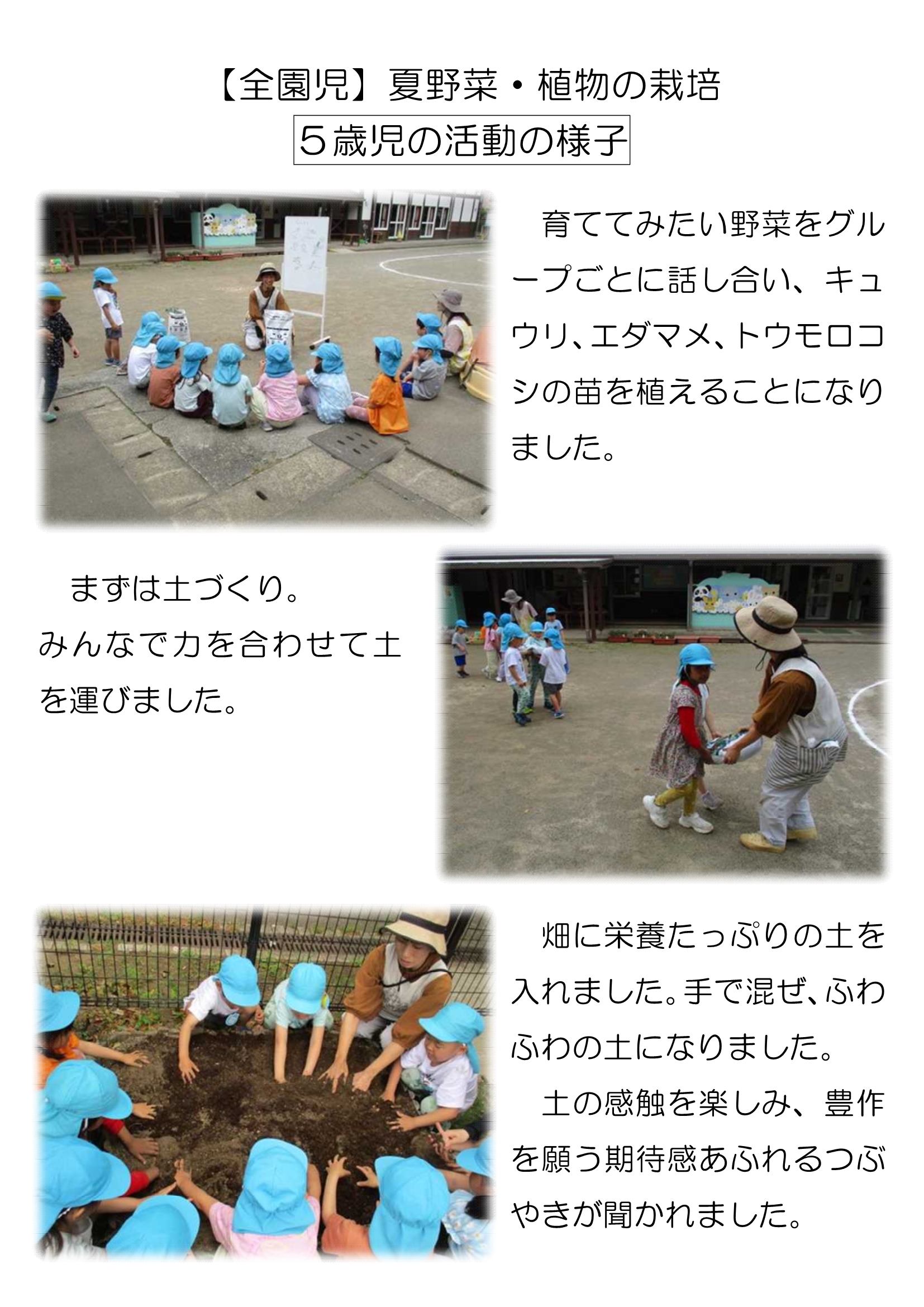 【全園児】夏野菜の栽培_1
