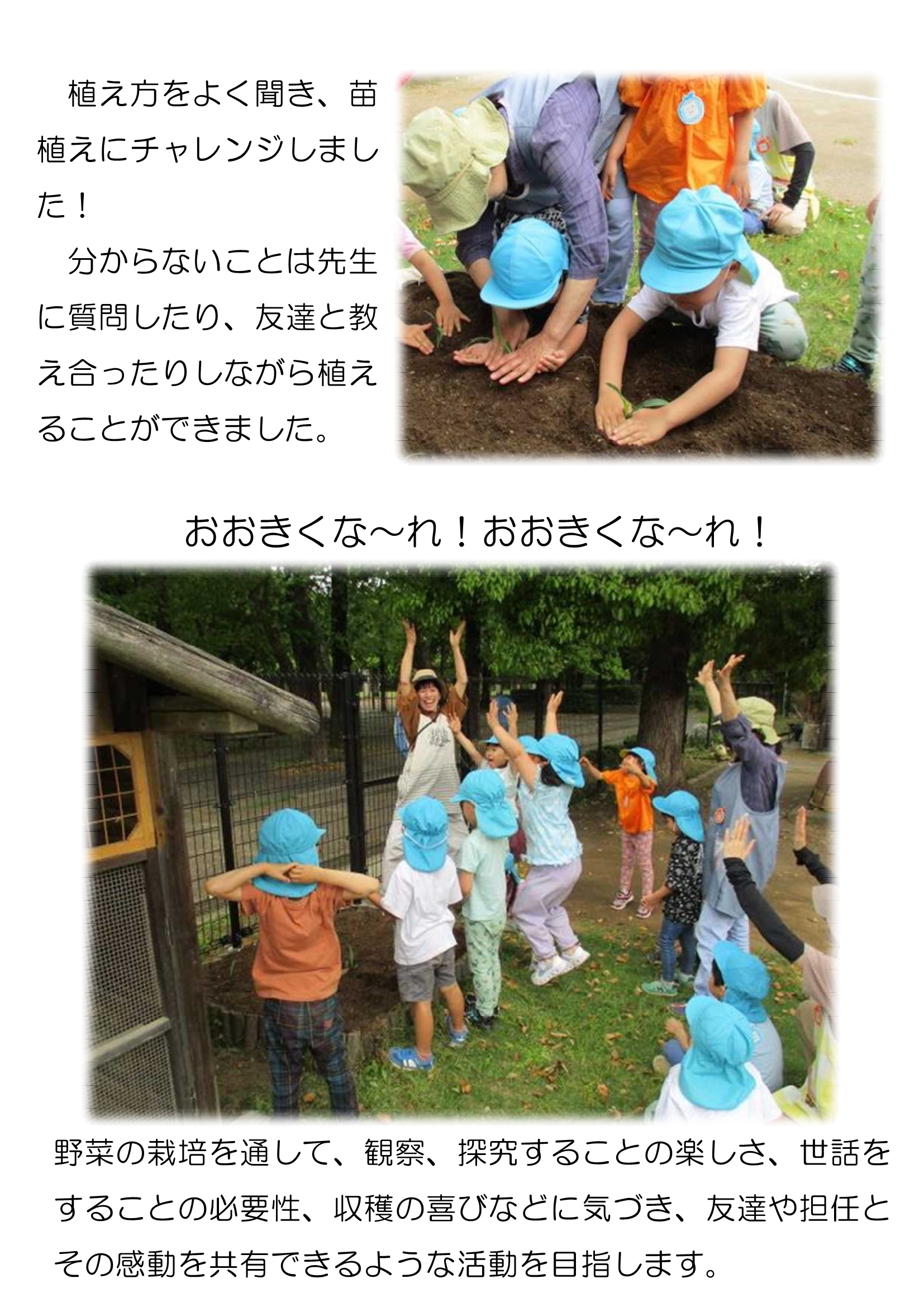 【全園児】夏野菜の栽培_2