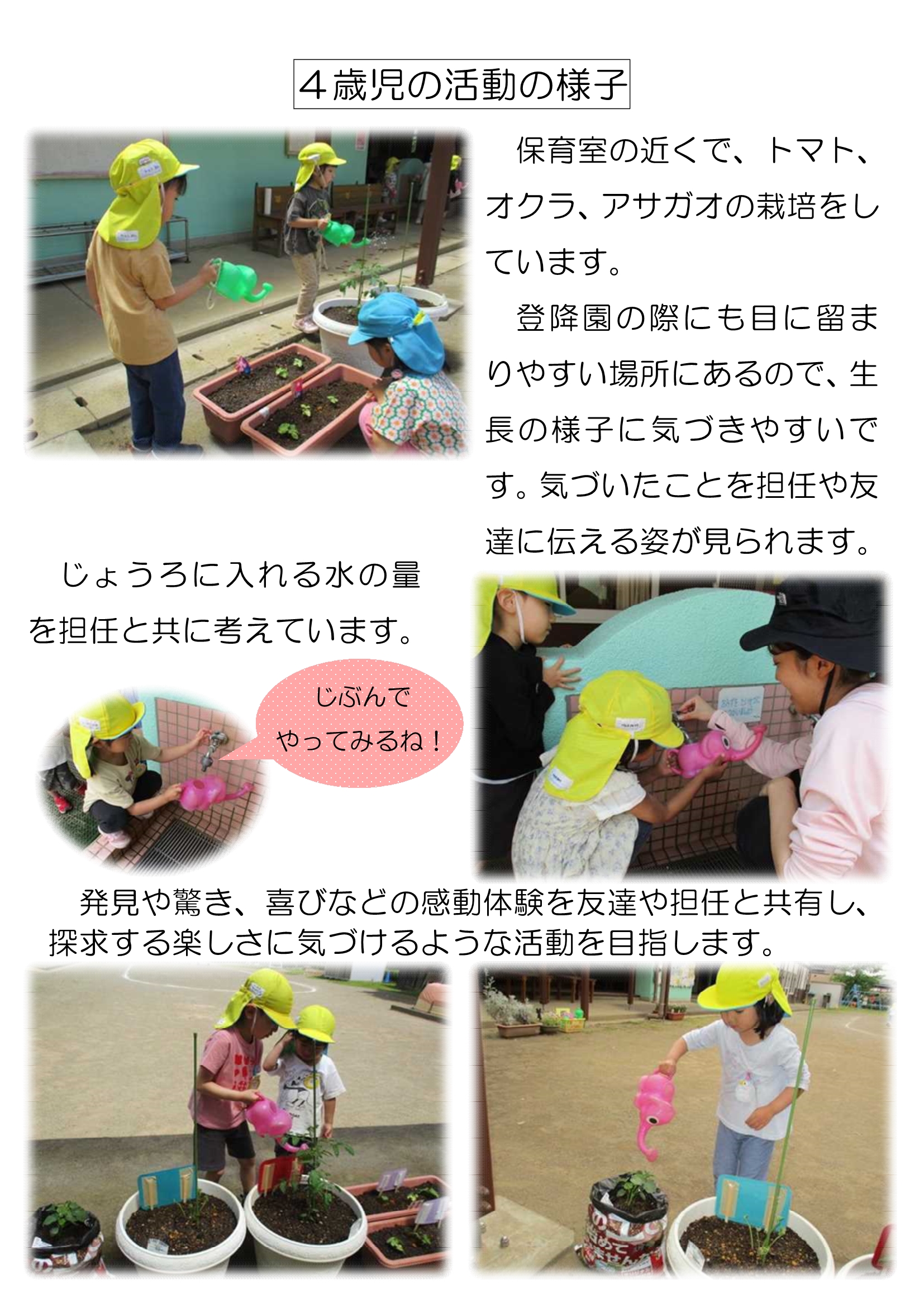【全園児】夏野菜の栽培_3