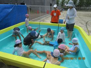 IMG_7852v