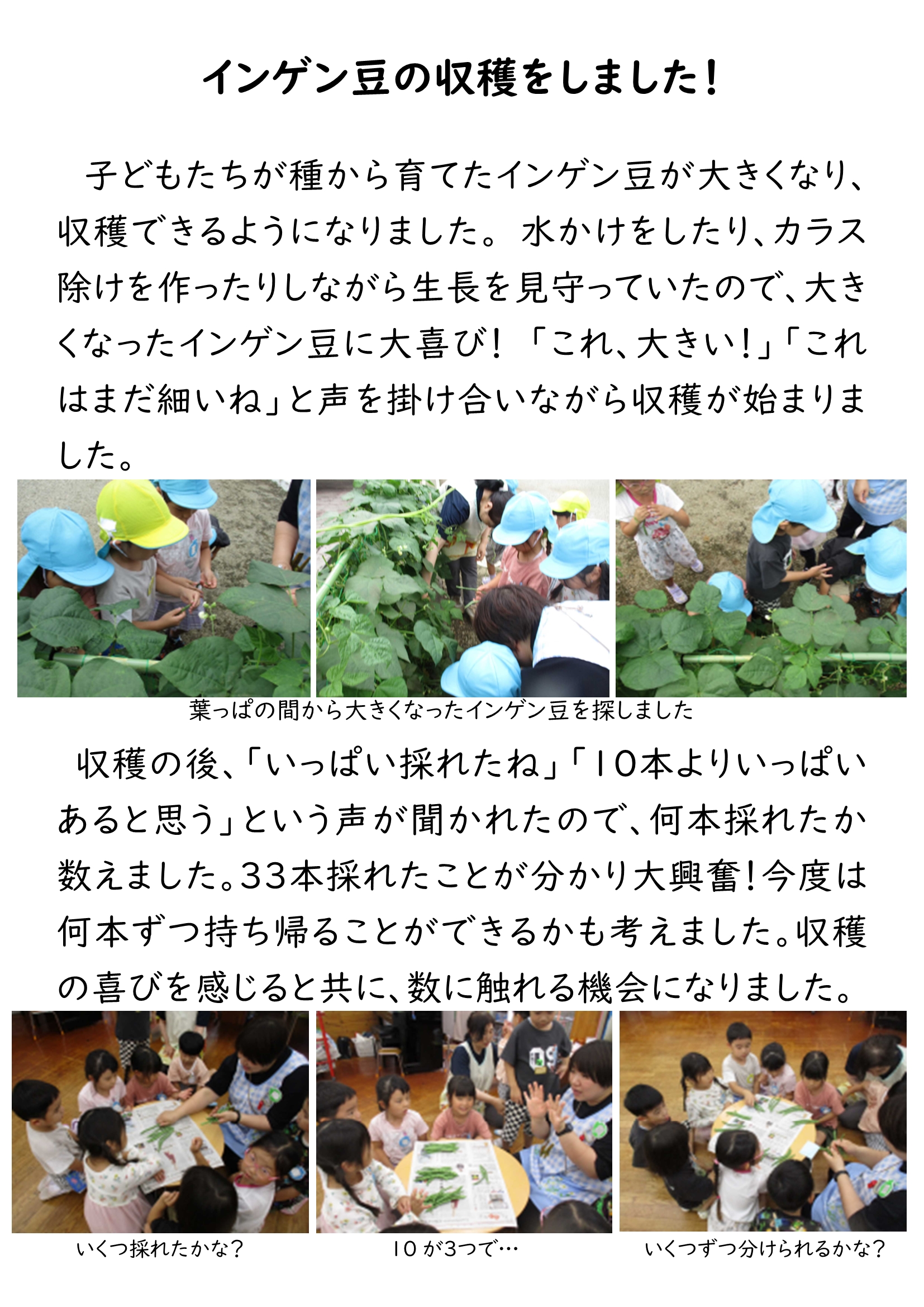 HP夏野菜収穫