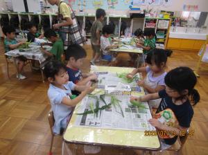 IMG_8295w