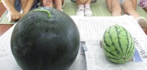 夏休み前４
