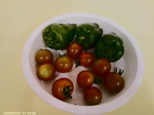 DSCF0471