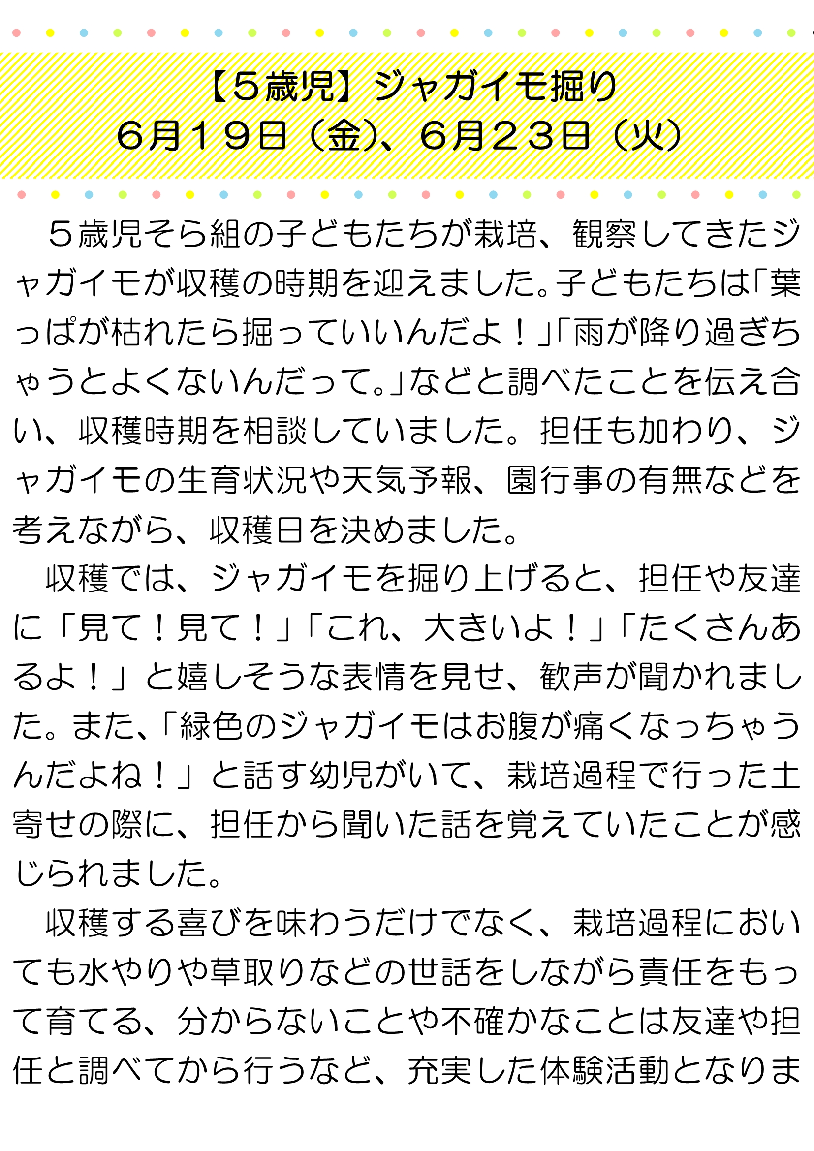 【５歳児】ジャガイモ掘り_1