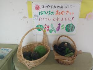 DSCF0335