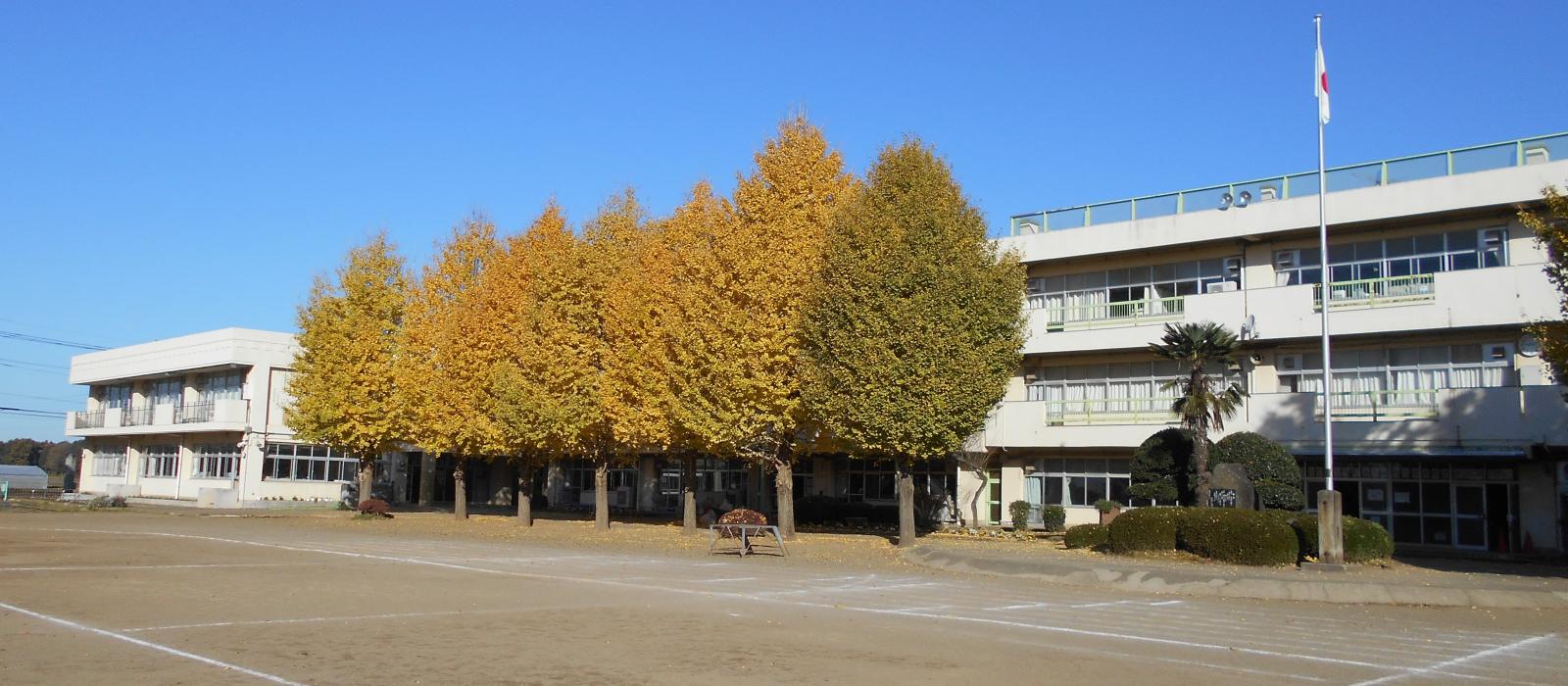 秋の沼崎小１