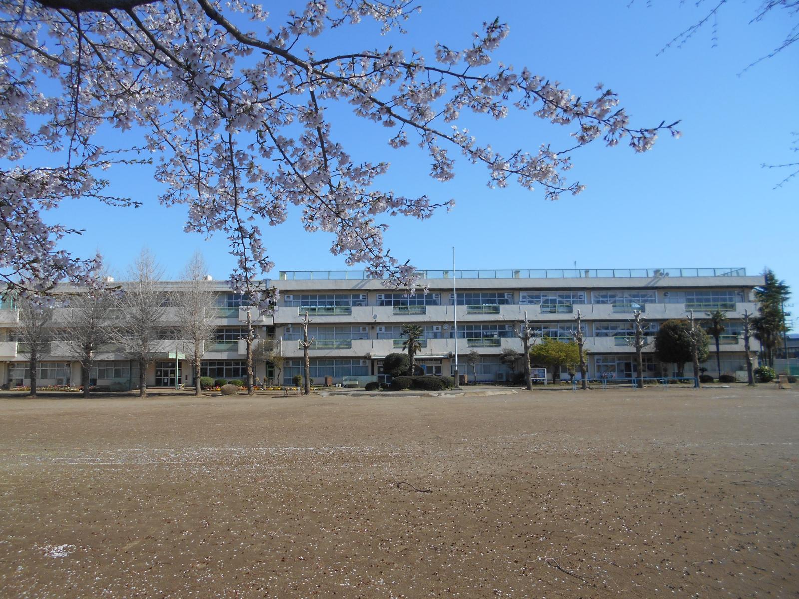 校舎（春）