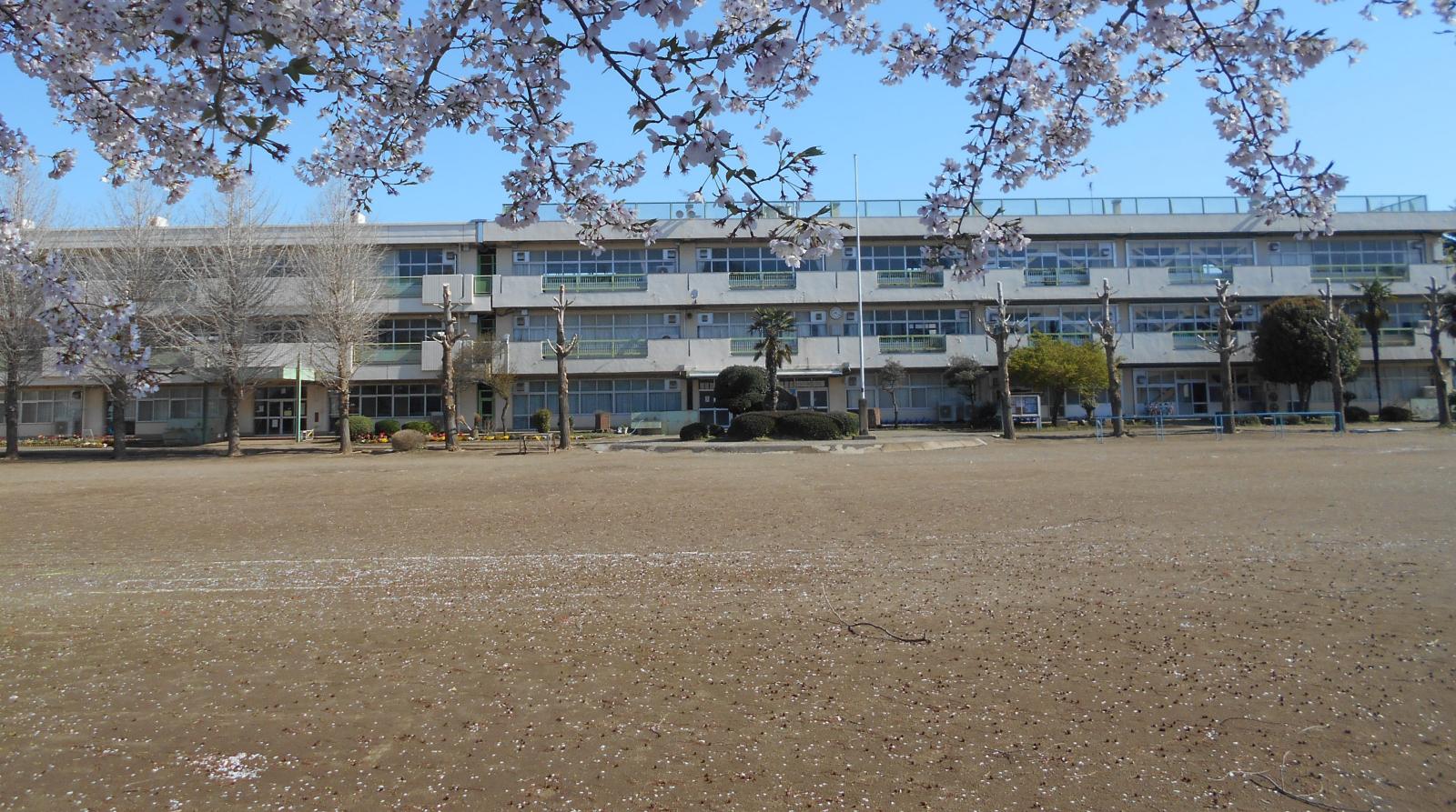校舎（桜）