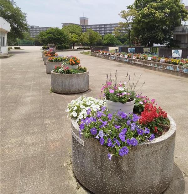 正面