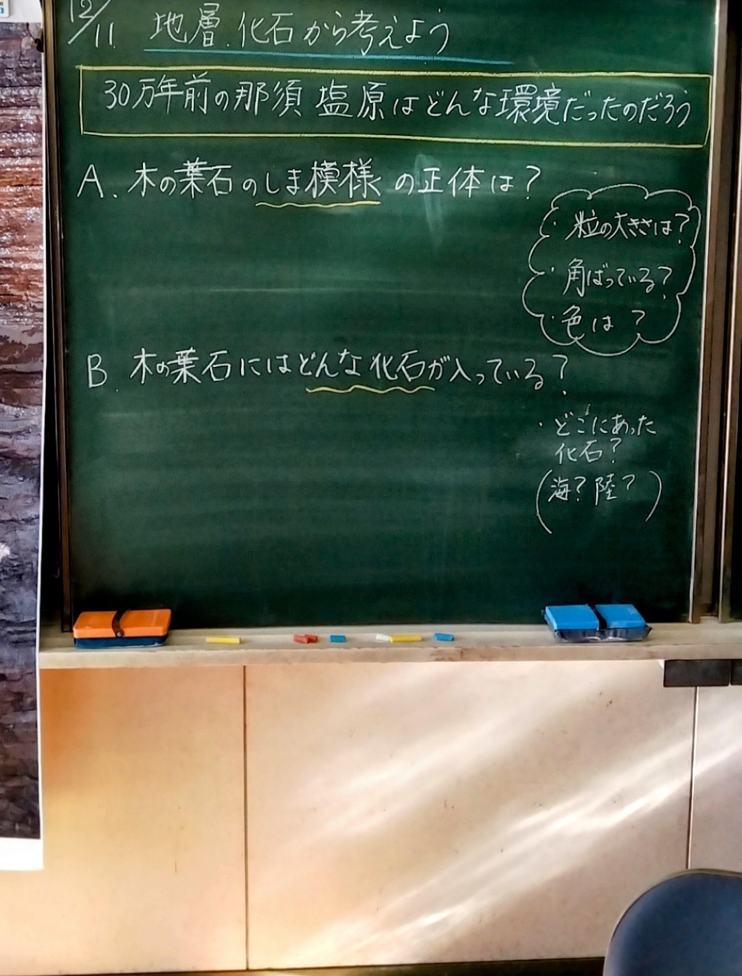 化石から30万年前を探る