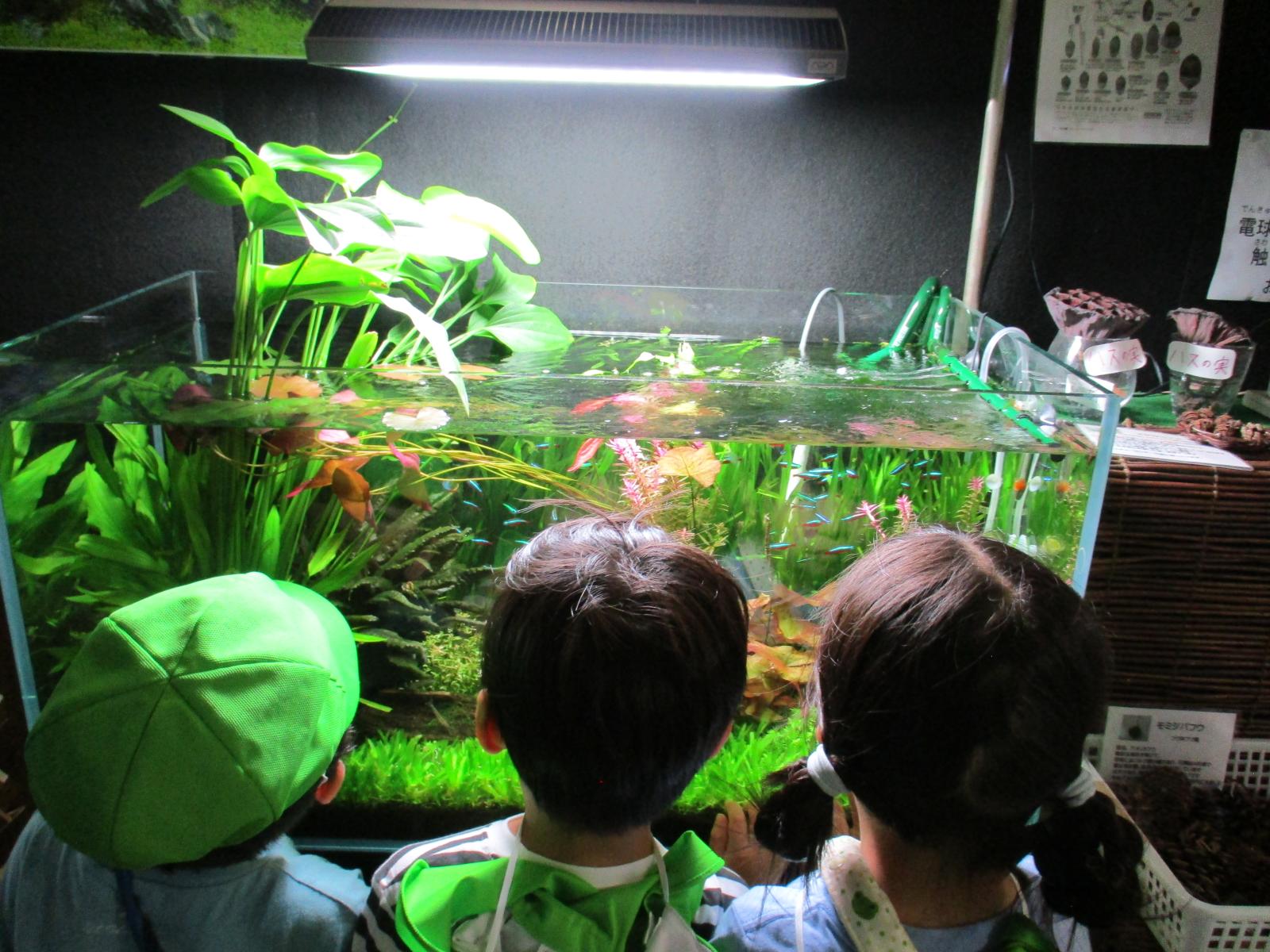水族館２