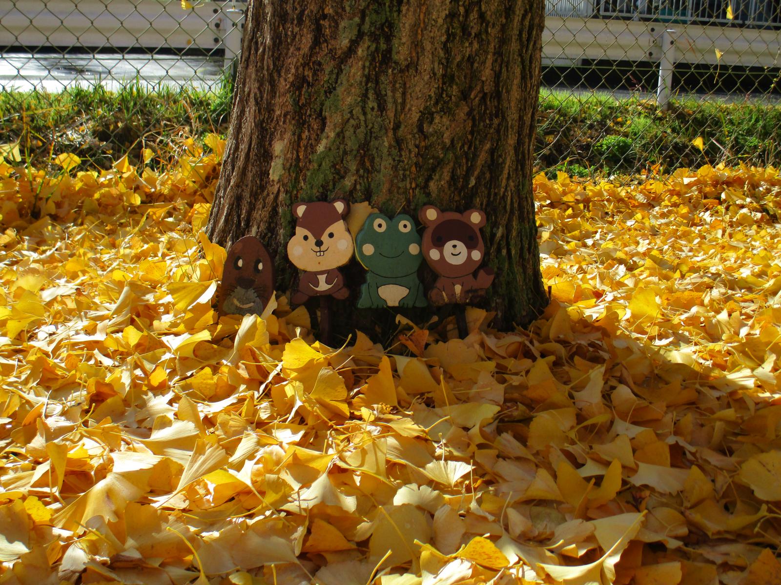 いちょうピック