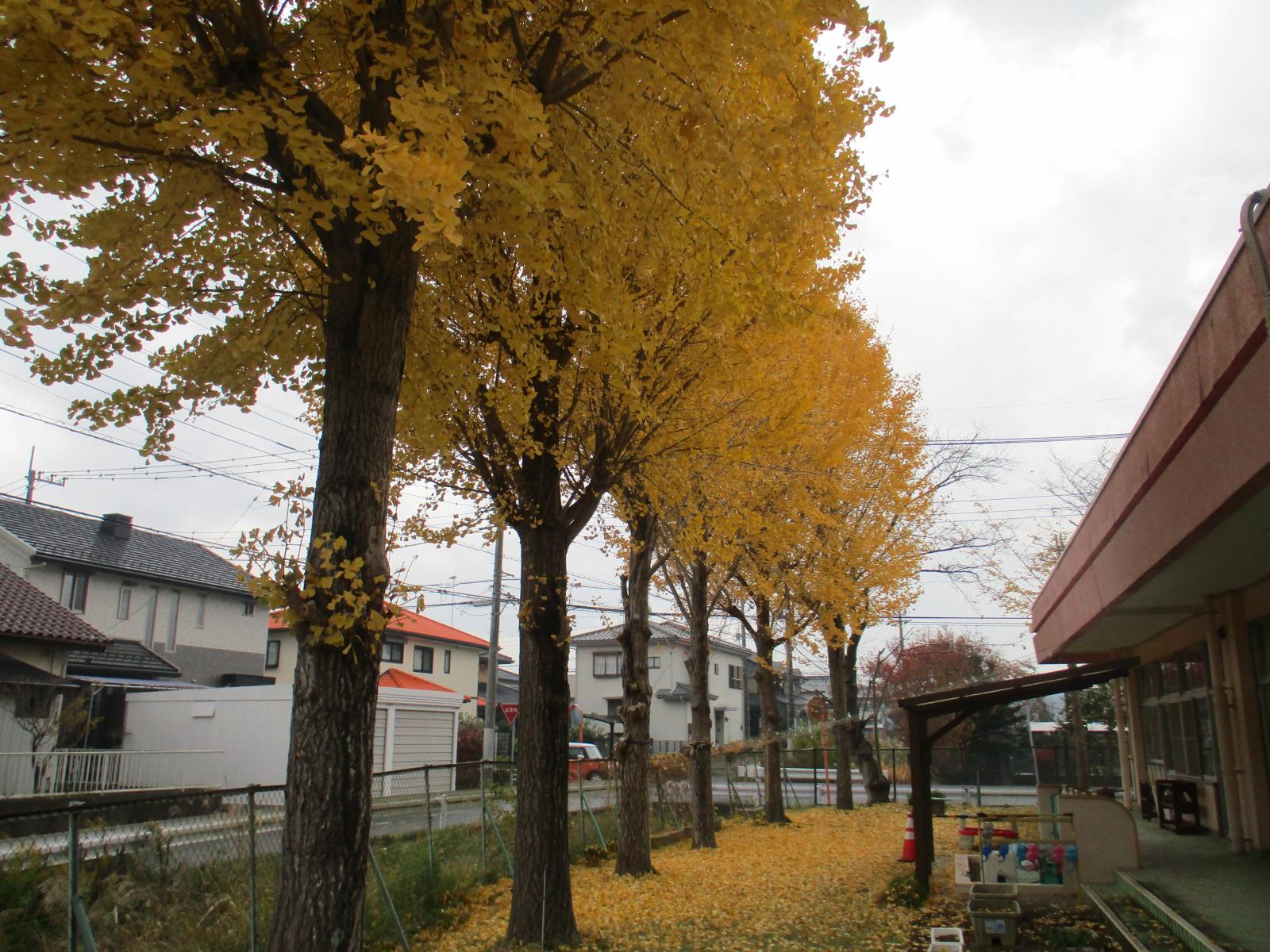 いっちょうテラス