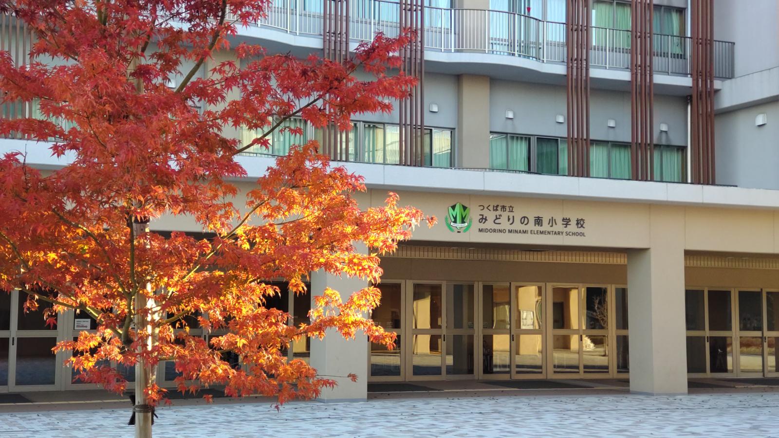 晩秋のみどりの南小