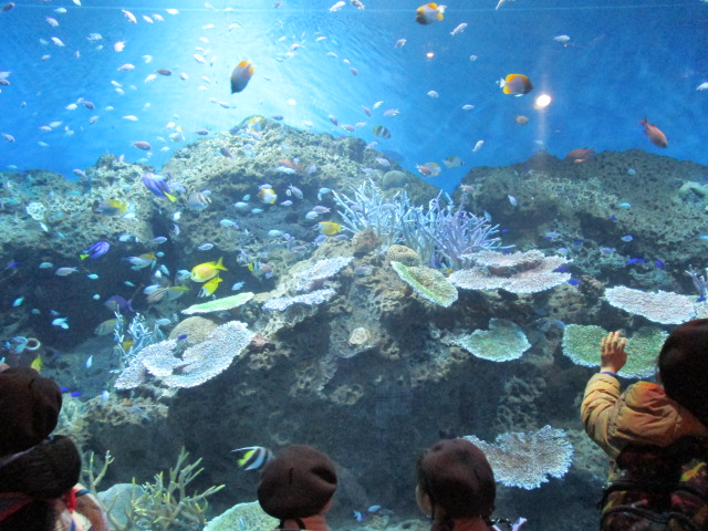 アクアワールド