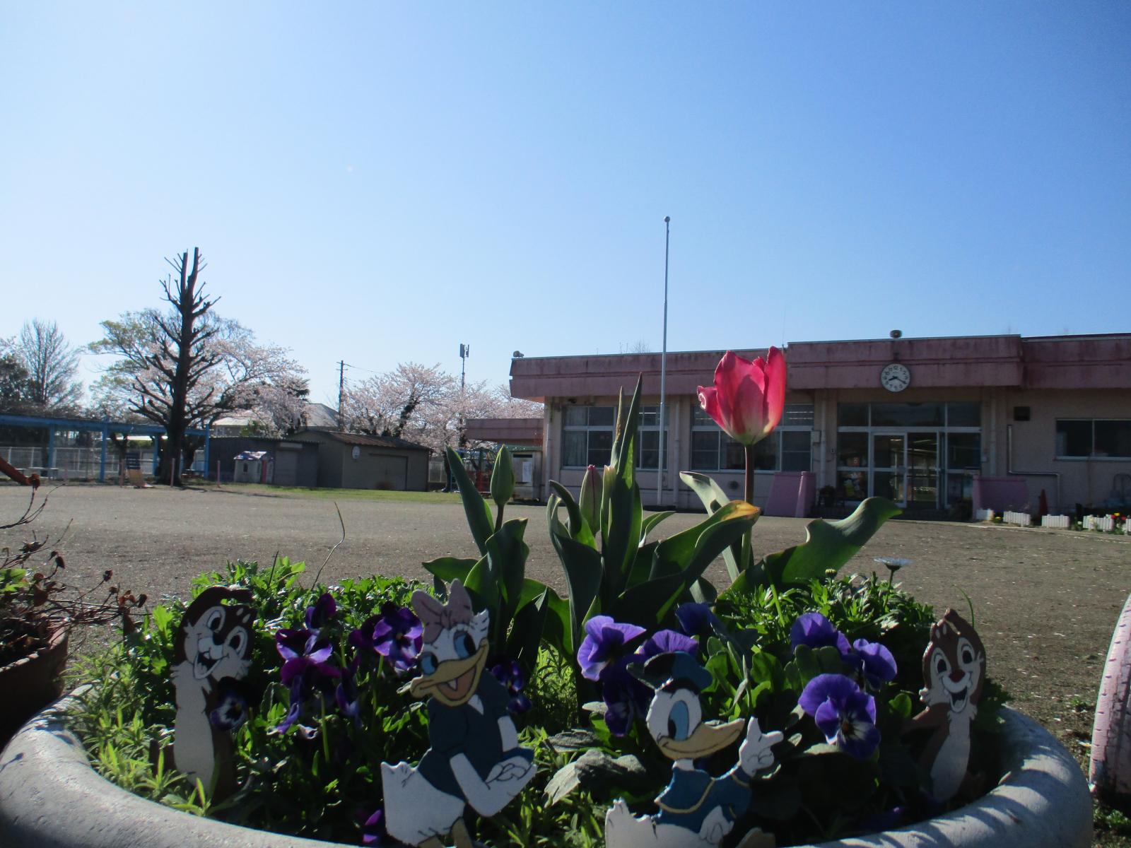 花と園舎