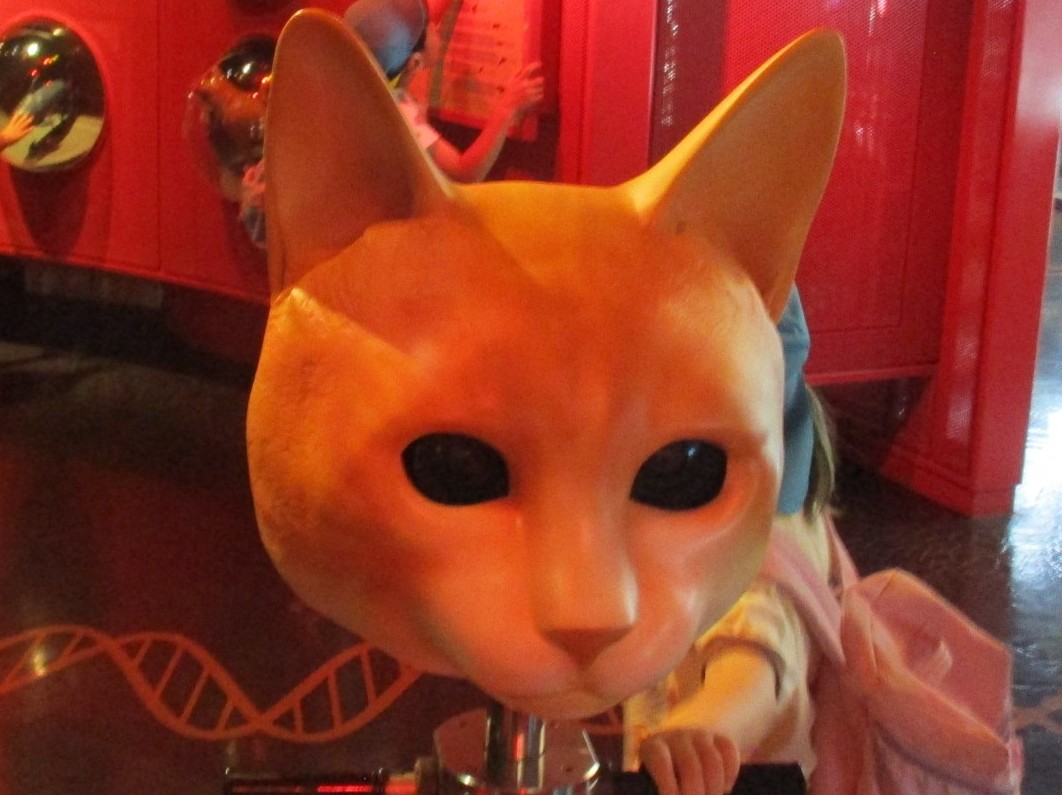 neko