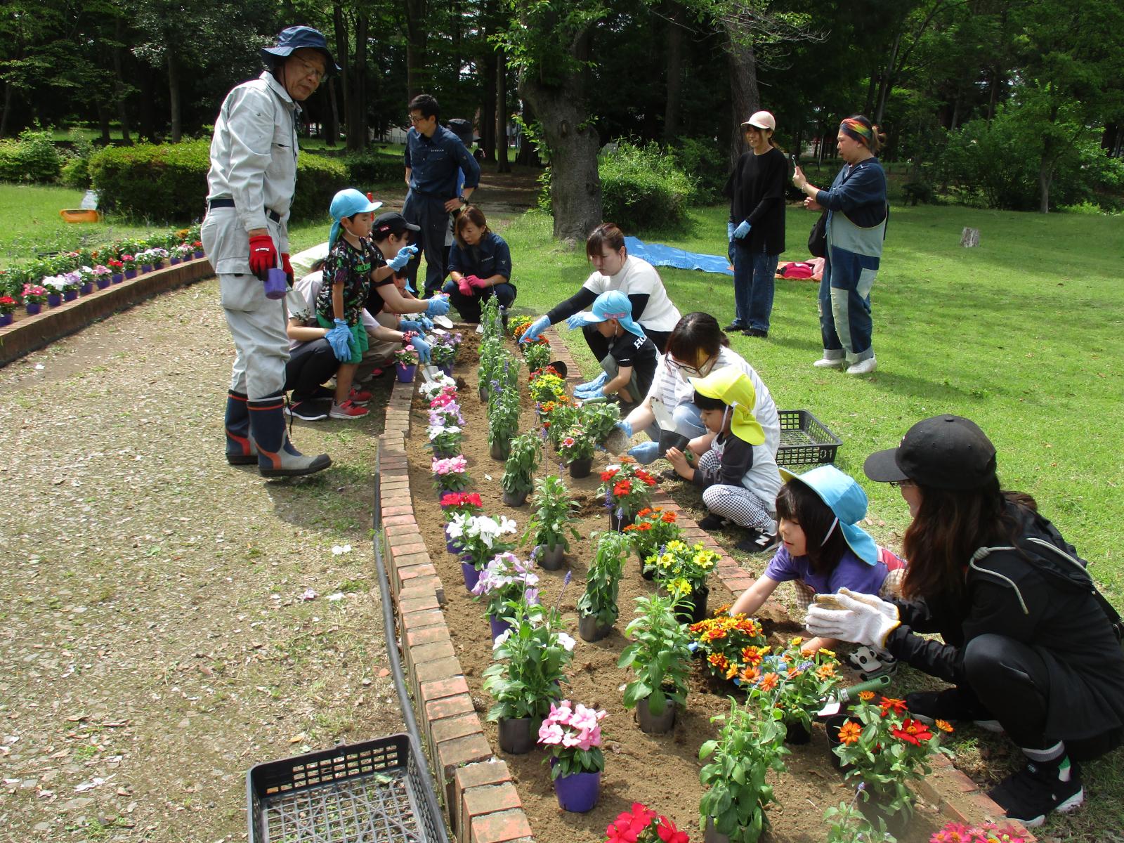R8 赤塚公園花植え