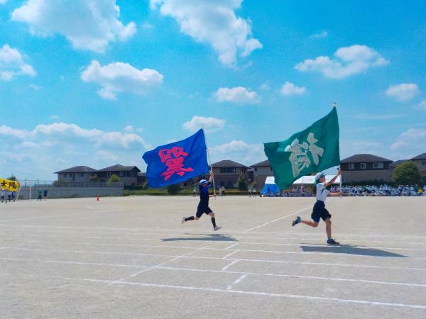 画像 (1)