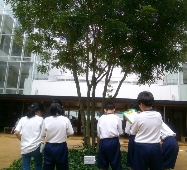 DSCF0061