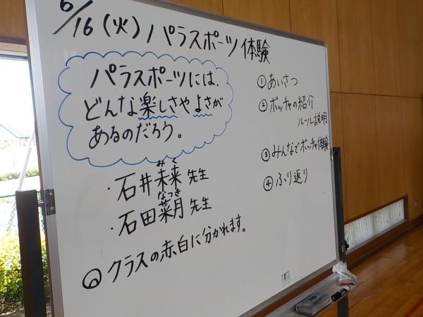 DSCN9230