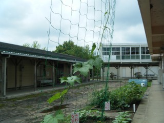DSCF0746