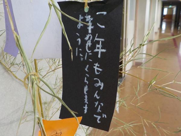 DSCN6473