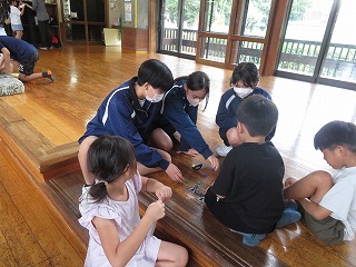IMG_2530