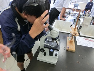 CIMG9688