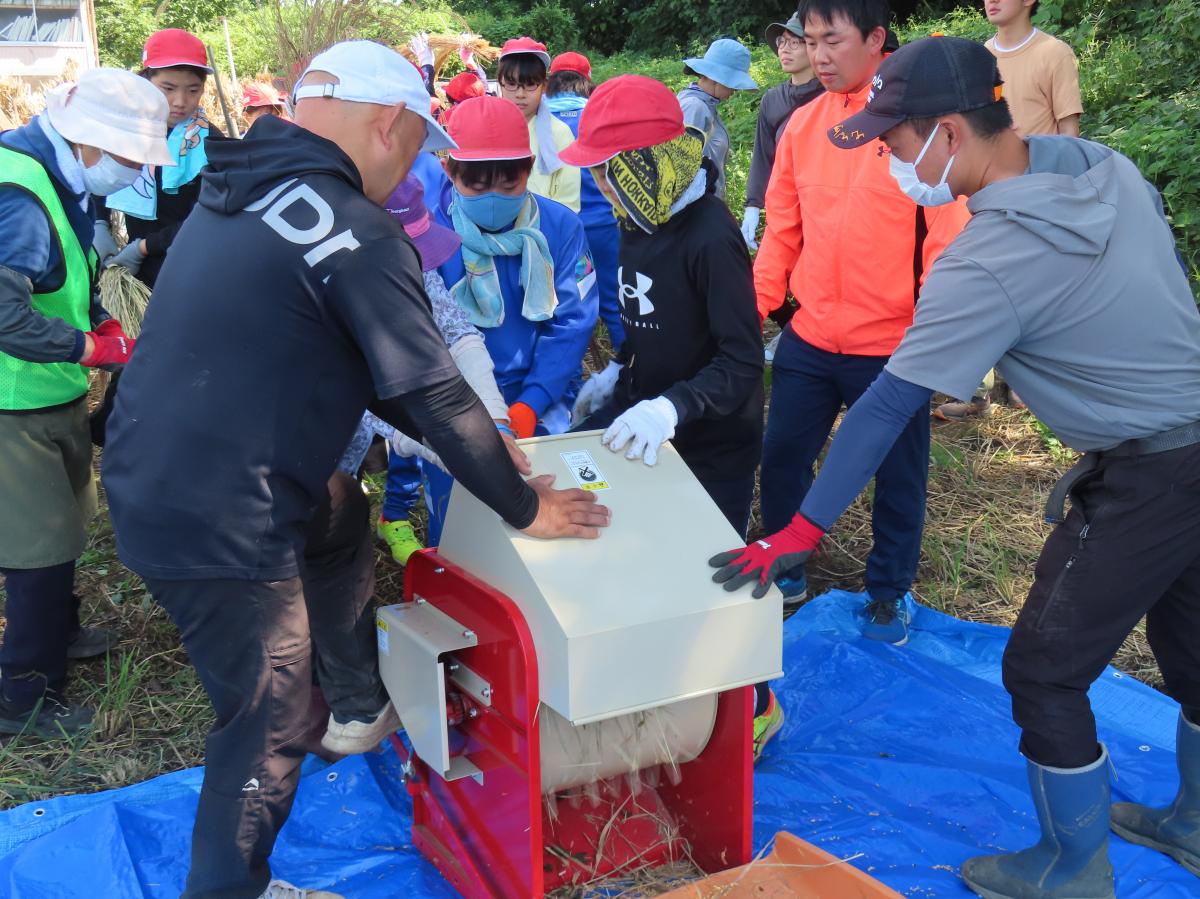 今週は脱穀に取り組みました!!~5年生「新米どっさりプロジェクト」~