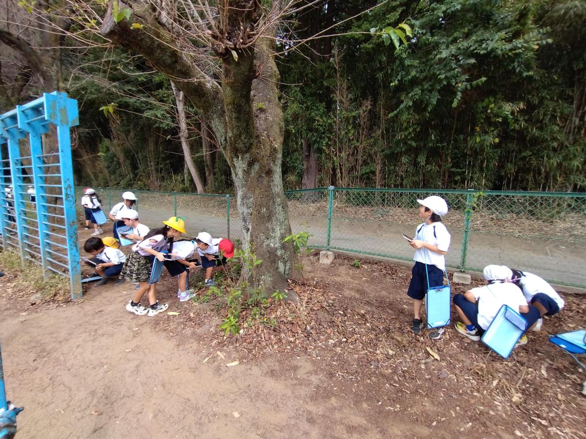 【1年生】虫探しに出かけました!