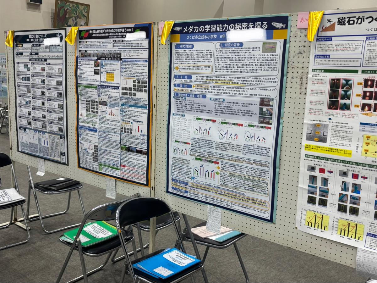 【学校より】県南地区展金賞3作品、銀賞1作品