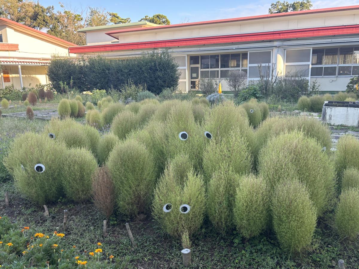 【学校より】今年のトトロ