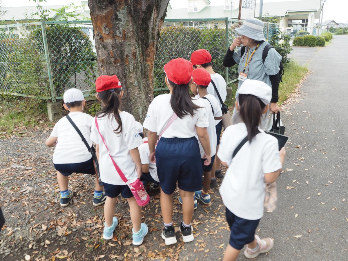 秋探しにでかけたよ