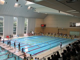 県新人水泳競技会 10月4日