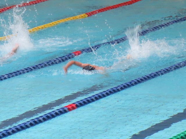 10月4日・5日 令和7年度 茨城県新人体育大会 水泳競技の部