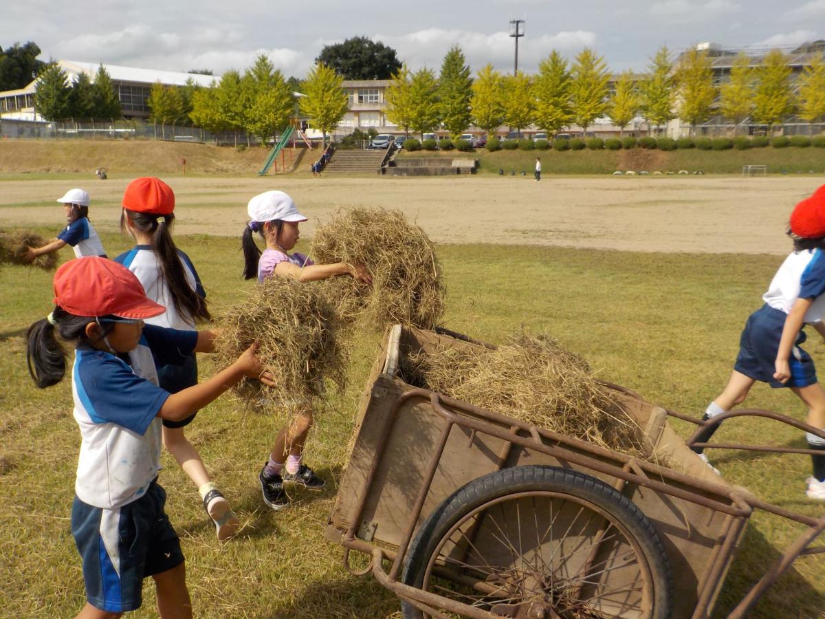 草刈りボランティア