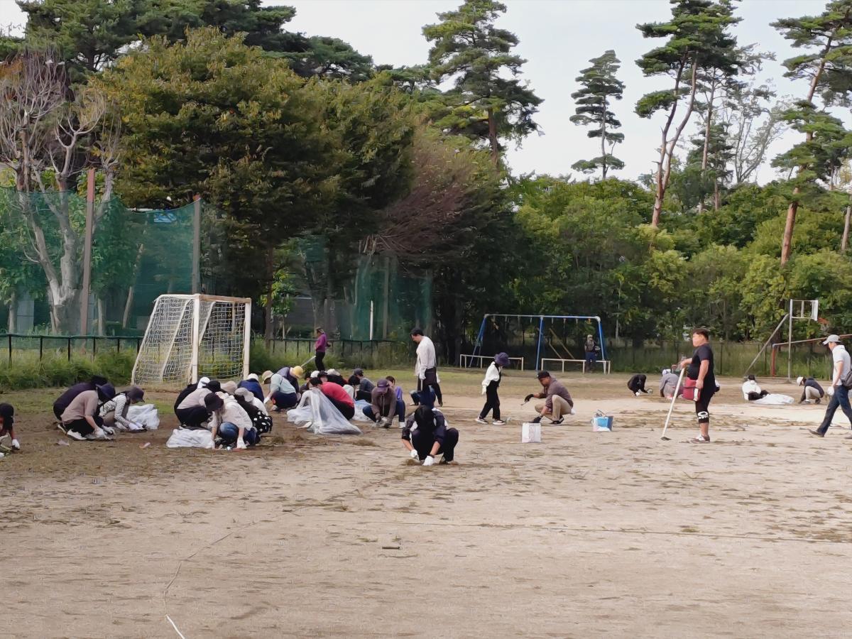 【松ボラ環境整備】学校がきれいになりました