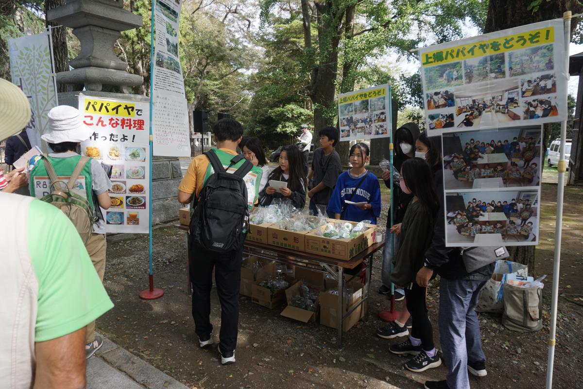 パパイヤ100個を無料提供したよ!